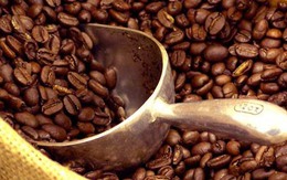 Tồn trữ cà phê Việt Nam thấp nhất kể từ 2011