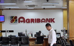 Hai chi nhánh của Agribank “dính” cú lừa hơn 100 tỷ đồng