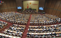Quốc hội chiều 19/11: Quốc hội yêu cầu Bộ LĐTBXH quản lý chặt chẽ người lao động nước ngoài đến VN
