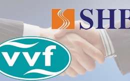 VVF được gì khi sáp nhập vào SHB?