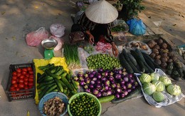 Kinh tế Việt Nam khởi sắc nhờ xuất khẩu tăng