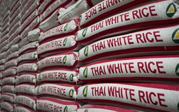 Thái Lan và hành trình giành lại ''ngôi vương'' xuất khẩu gạo