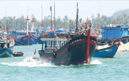 Quảng Nam: Hỗ trợ tín dụng hơn 700 tỷ đồng đóng tàu cá