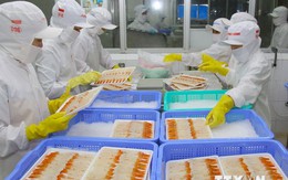 Doanh nghiệp Việt có cơ hội xuất khẩu nông thủy sản sang Ai Cập