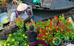 Sức khỏe kinh tế Việt Nam 2014 trong mắt nhà thống kê