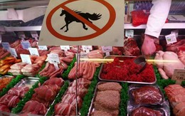 Cảnh báo thịt ngựa nhập khẩu từ châu Mỹ nhiễm kháng sinh liều cao