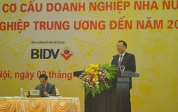 Phó Thủ tướng Vũ Văn Ninh: "Cái gì DN tư nhân làm được, DNNN phải rút lui"