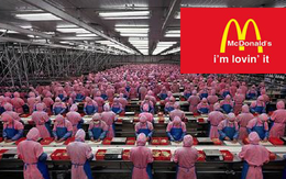 Hình ảnh hiếm về nhà máy sản xuất thịt bò khổng lồ cho McDonald's     