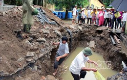 Vụ chôn thuốc trừ sâu: Phó tổng giám đốc khuyên các giám đốc khai thành khẩn