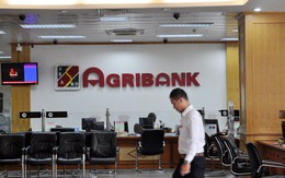 Agribank là ngân hàng đầu tiên bán nợ xấu cho VAMC