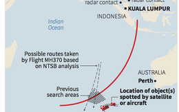 [MH370] Vệ tinh Pháp phát hiện 122 mảnh vỡ có thể của máy bay MH370