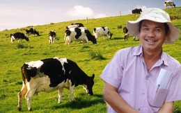 Vì sao bầu Đức dốc hàng ngàn tỷ nuôi bò sữa?