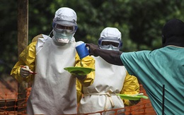 Những kiến thức cần biết về Ebola