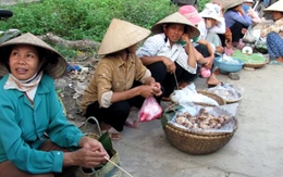 Chợ chuột 'bắt mổ ngay' đầu cao tốc Cầu Giẽ - Ninh Bình