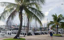 Cảng du thuyền nhân tạo Tuần Châu đoạt kỷ lục Guinness