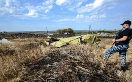 Chuyên gia Mỹ khẳng định giả thuyết MH17 bị không kích