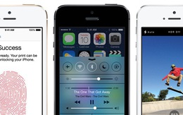 iPhone 6 sẽ là ‘siêu phẩm’ thành công nhất trong lịch sử Apple?