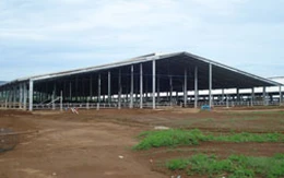 PHC: Năm 2012, sau kiểm toán lãi thành lỗ