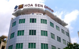 Tôn Hoa Sen lãi ròng 410 tỷ đồng niên độ tài chính 2013 - 2014