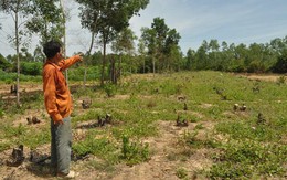 Những dự án “rùa bò” siêu lãng phí ở Chân Mây