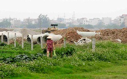 Hàng trăm ha đất lúa được chuyển thành đất dự án, công trình tại 5 tỉnh