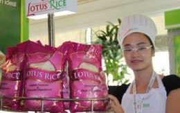 Doanh nghiệp cần “làm mới” ở thị trường xuất khẩu