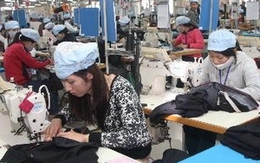 50% số người thất nghiệp tại Việt Nam là thanh niên