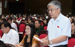 Đề nghị lùi thời điểm thông qua Hiến pháp