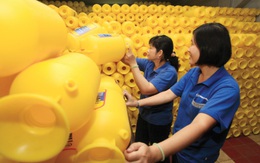 Nhựa Bình Minh dự kiến tạm ứng cổ tức đợt 1/2013 tỷ lệ 10% bằng tiền mặt