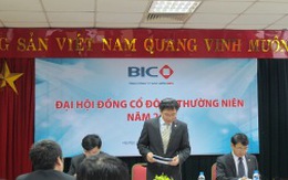 [Trực tiếp] ĐHCĐ thường niên BIC: Chưa tìm được cổ đông chiến lược, chuyển hướng đầu tư ra nước ngoài