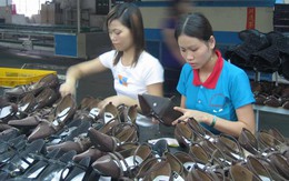 TPP chuyến ra khơi mới của doanh nghiệp Việt