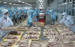 Nga muốn tăng cường nhập khẩu nhiều hàng hóa của Việt Nam