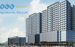 FLC: Lợi nhuận cả năm 2014 đạt 400 tỷ đồng, vượt kế hoạch 15%