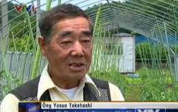 Nhật Bản đầu tư nông nghiệp vào Việt Nam: Nhiều rào cản