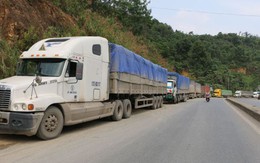 Tháo gỡ khó khăn về tải trọng xe cho doanh nghiệp xuất khẩu