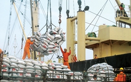 Siết chặt hoàn thuế GTGT đối với doanh nghiệp xuất khẩu gạo