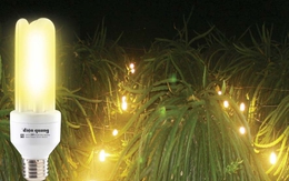 Bóng đèn Điện Quang dự kiến phát hành 4,4 triệu cổ phiếu trả cổ tức 20%