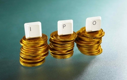 DNNN loay hoay với IPO: Quan trọng là cơ cấu sở hữu