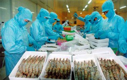 Thủy hải sản Việt Nhật: Quý 4 tiếp tục lãi nhờ chuyển nhượng bất động sản