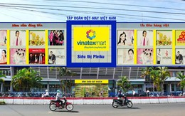 Vingroup dự chi trên 550 tỷ đồng mua 10% Vinatex