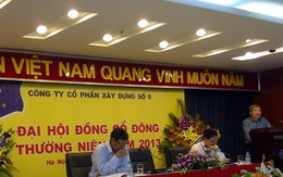 Đại hội cổ đông VC9: Còn tồn kho 350 tỷ đồng bất động sản