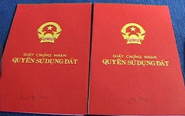 Phó Thủ tướng chỉ đạo đẩy nhanh tiến độ cấp “sổ đỏ”