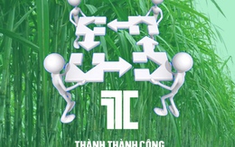 Hệ thống "gia đình" mía đường Thành Thành Công tăng cường sở hữu chồng chéo lẫn nhau