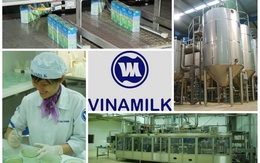 [Inside Factory] Khám phá những máy móc khổng lồ bên trong nhà máy sữa Vinamilk