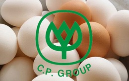 Chân dung "nghi phạm" làm giá trứng gà: Đại gia thống trị thị trường nông nghiệp Việt
