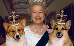 Elizabeth II- Nữ hoàng của 16 quốc gia