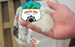 Cận cảnh canh bạc lớn đã "ngốn" gần 90 triệu USD của bầu Đức