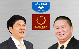 Tôn Hoa Sen vs. Thép Hòa Phát