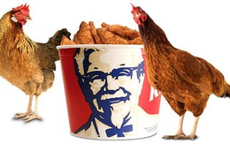 Quản lý nhà hàng KFC Việt Nam chiếm đoạt gần 1,1 tỷ đồng của công ty