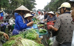 Hà Nội gom hàng tránh bão, rau xanh tăng giá gấp 3